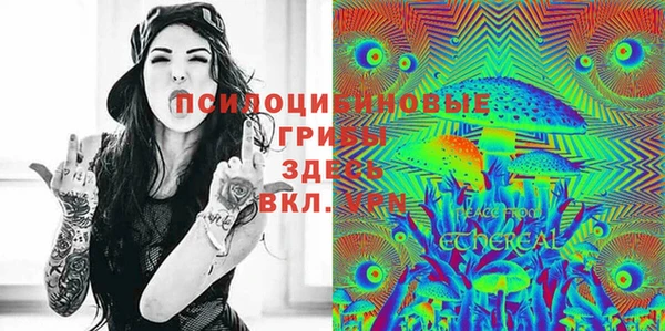 ПСИЛОЦИБИНОВЫЕ ГРИБЫ Арсеньев