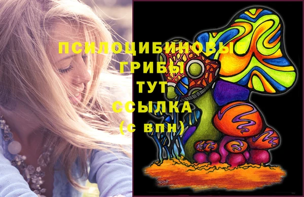 ПСИЛОЦИБИНОВЫЕ ГРИБЫ Арсеньев